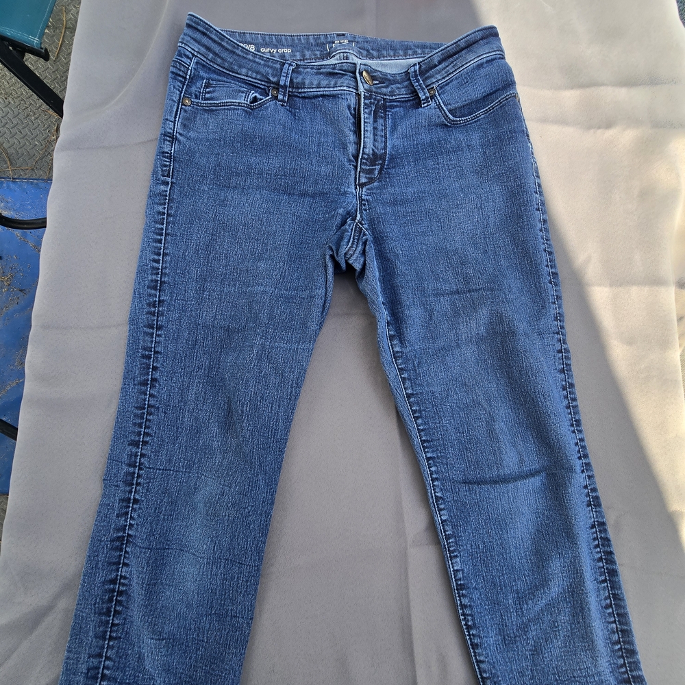 Ann Taylor LOFT Women's Blue Skinny Jeans Curvy Crop